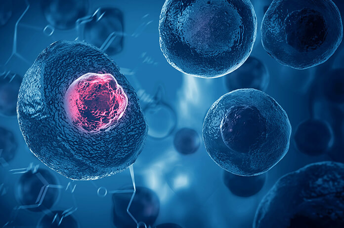 Kök Hücre Tedavisi Nedir? Hangi Hastalıkların Tedavisinde Kullanılıyor?